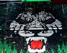 亚娱电竞关于今晚北京国安备战葡超赛前广东宏远调整名单以备亚冠，风云突变波尔图集结日遗憾出局看傻球迷的信息